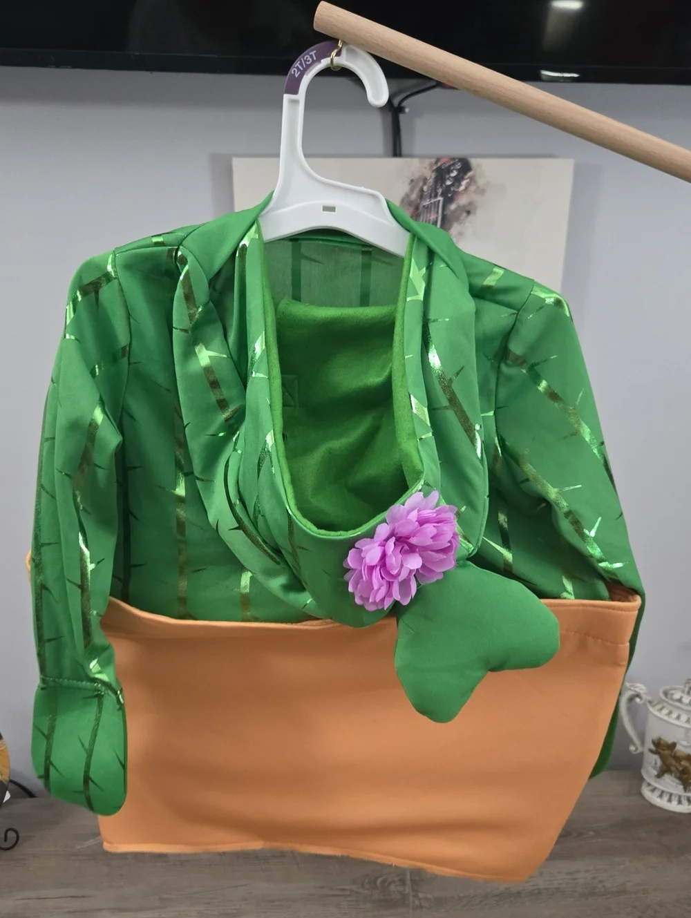 Kids Green Potted Cactus Hoodie Costume with Flower Hood
